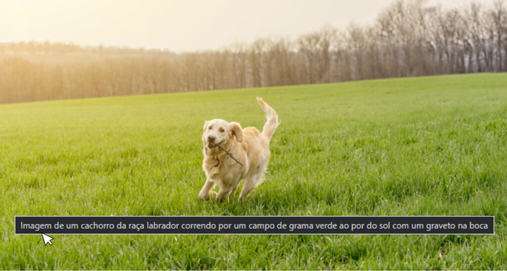 Imagem de um cachorro da raça labrador correndo por um campo de grama verde ao por do sol com um graveto na boca
